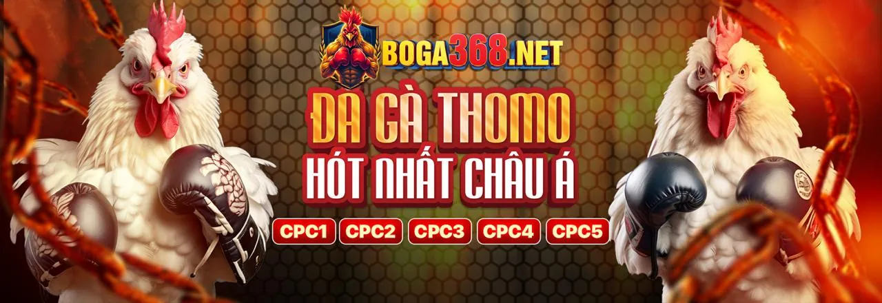 Đấu gà trực tuyến kịch tính tại red88 chính thức